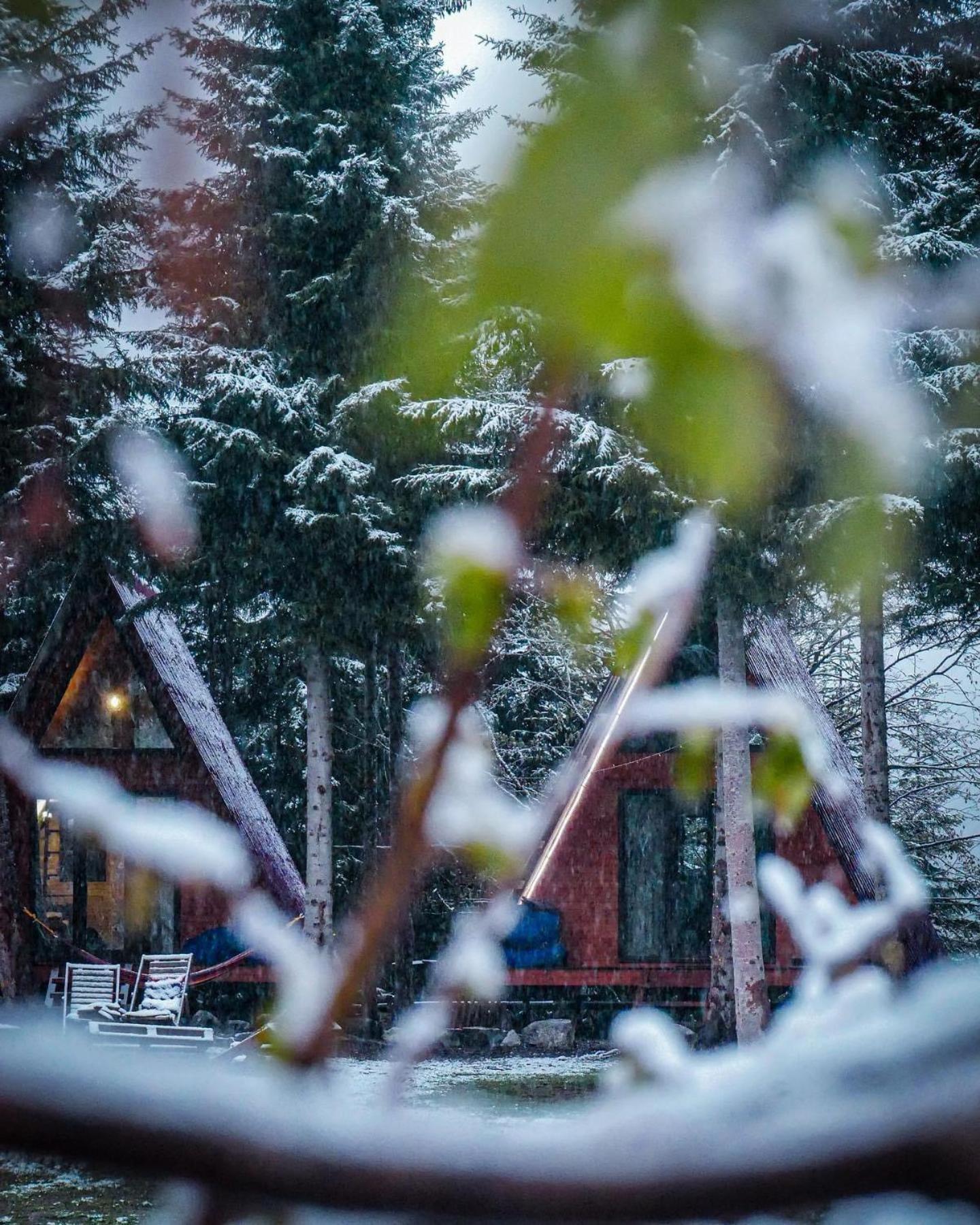 Bude Mestia Cottages Bagian luar foto