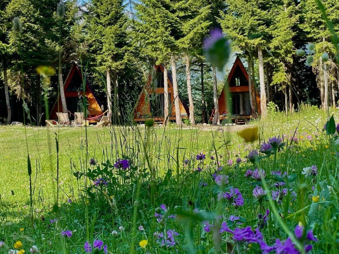 Bude Mestia Cottages Bagian luar foto