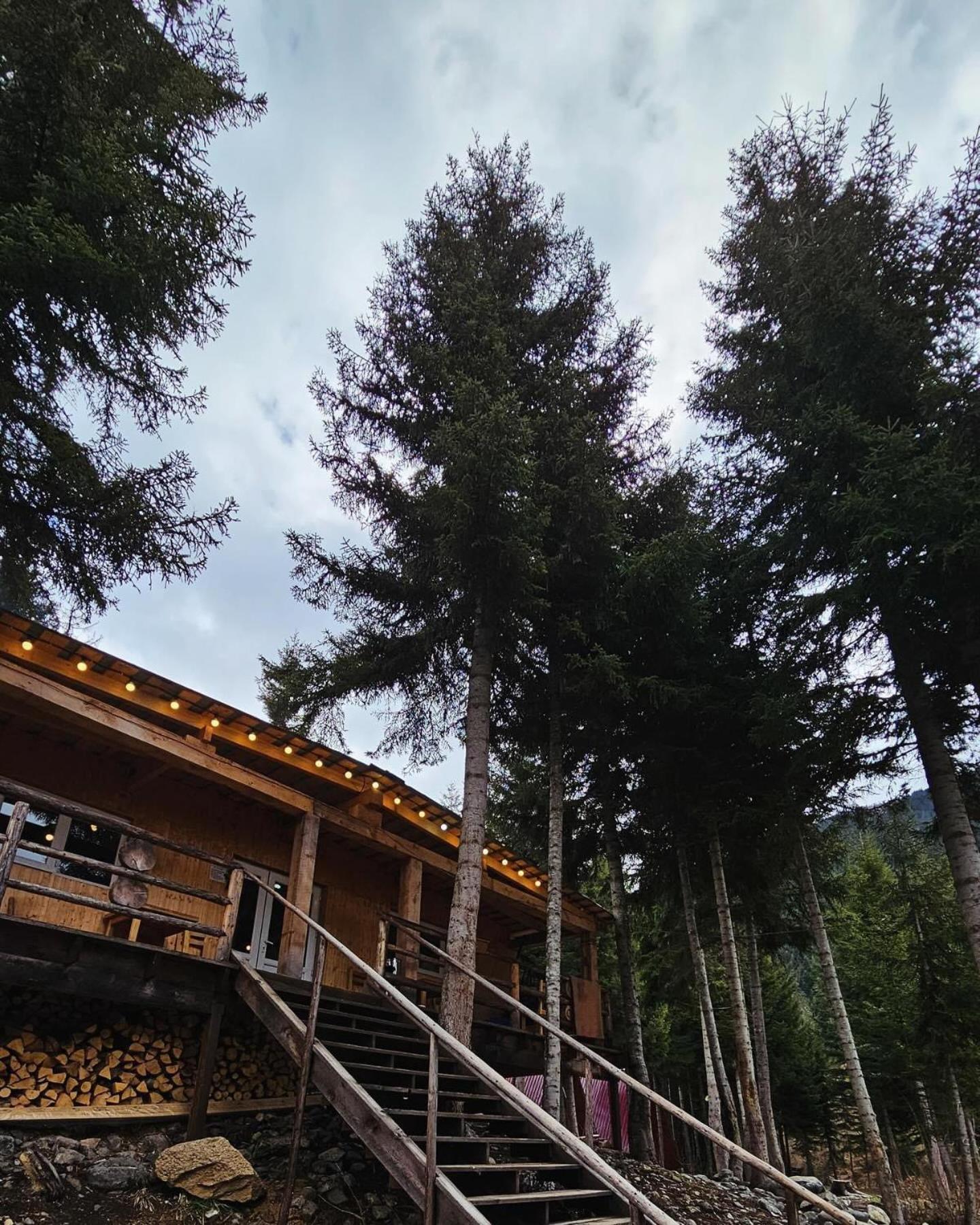 Bude Mestia Cottages Bagian luar foto